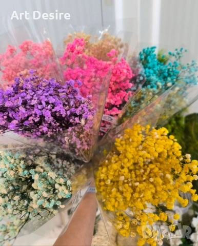 Гипсофил , снимка 10 - Други - 53408838