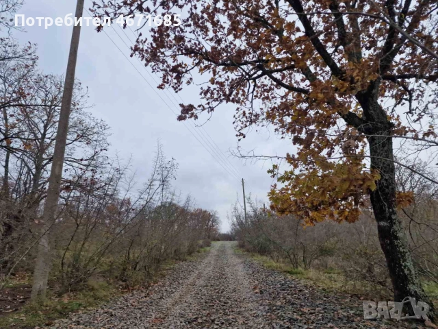 Продавам парцел в с.Велика, снимка 2 - Парцели - 52686937