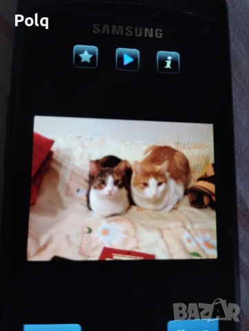 Подарявам 2 красиви кастрирани котки , снимка 1