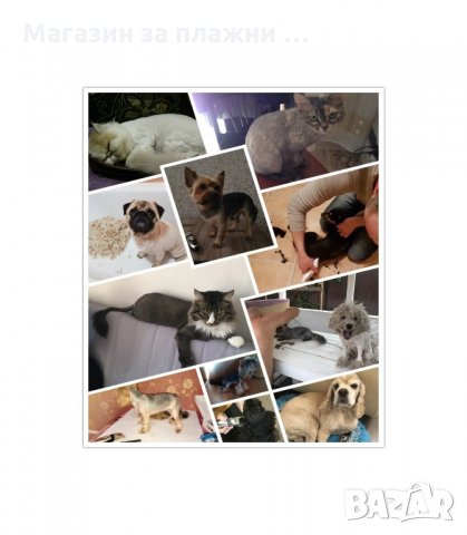 БЕЗЖИЧНА МАШИНКА ЗА ПОДСТРИГВАНЕ НА ДОМАШНИ ЛЮБИМЦИ BAORUN - код P22, снимка 5 - Други стоки за животни - 34011782