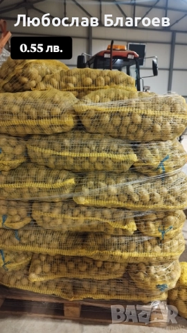 Картофи за консумация, снимка 4 - Домашни продукти - 52015865