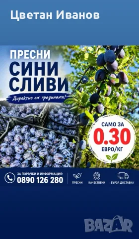 Продавам сини сливи за ракия 