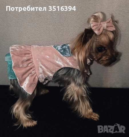 Производство на дрехи за кучета по поръчка