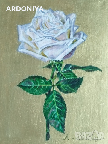 Бяла роза картина маслени бои , снимка 1 - Картини - 44619664
