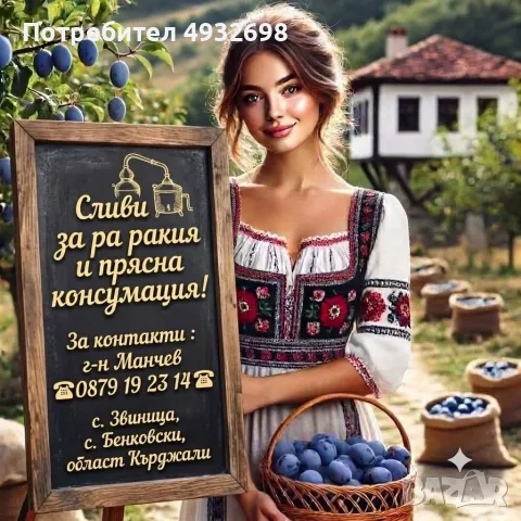 СЛИВИ за РАКИЯ и ПРЯСНА КОНСУМАЦИЯ 