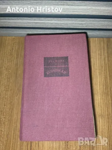 Яна Язова   Бенковски 