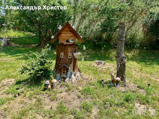 Вила Родопи, снимка 18 - Почивки на планина - 51066117