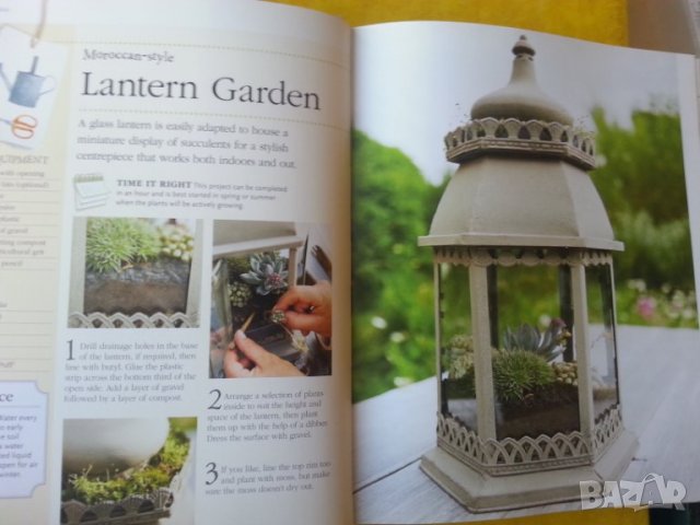 Small space Big Ideas / Как да направим градина на малка площ -англ.език, Наръчник по цветарство, снимка 4 - Специализирана литература - 34323997