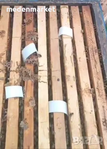 Ленти оксалова киселина с глицерин ACIFLEX, снимка 2 - За пчели - 47277008