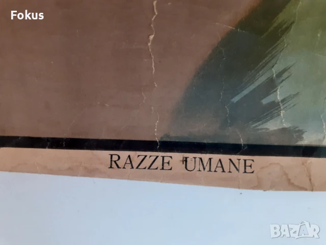 Много стар плакат антропологичен печат Човешките раси 1925г., снимка 3 - Антикварни и старинни предмети - 51169546