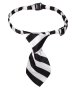 Кучешка вратовръзка черно-бяла