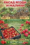 разсад ягоди и малини, снимка 1