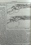 Огнестрелно оръжие от Освободителната война 1877-1878 г. Иван Нурков, снимка 4