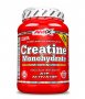 AMIX Creatine Monohydrate Powder - 300гр., снимка 1