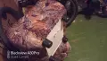 табуретки  за  хол, снимка 2
