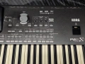 клавир синтезатор аранжор електронно пиано MUSI Set KORG PA3x - 76k 256 рам, снимка 2