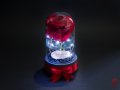 Вечна Роза в Стъкленица с Лампички / LED светлини / Подарък за Рожден Ден - Светеща Вечна Роза