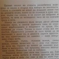 Велики сенки  - Фани Попова-Мутафова, снимка 4 - Художествена литература - 41867926