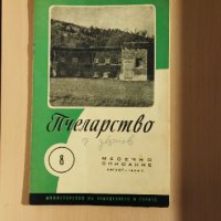 Стари списания - Пчеларство, снимка 5 - Списания и комикси - 41386332