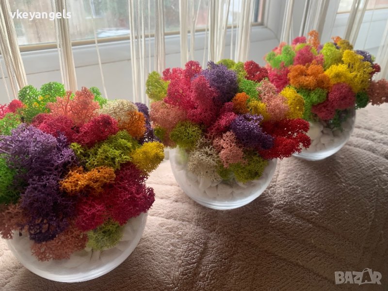 Стъклена кашпа с естествен скандинавски мъх, снимка 1