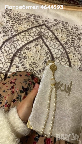 Ходжа бахар , снимка 1