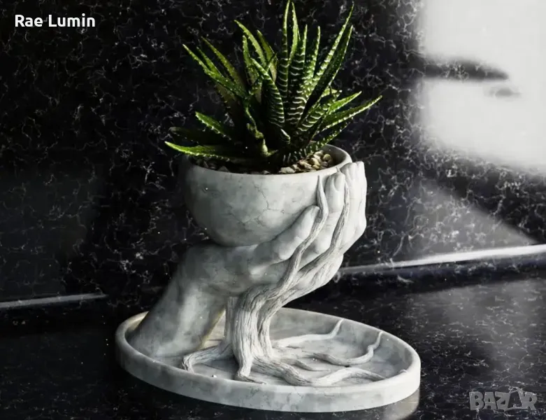 Саксия – вплетени корени, снимка 1