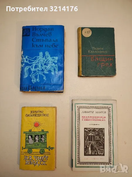 Бащин грях - Георги Караславов, снимка 1
