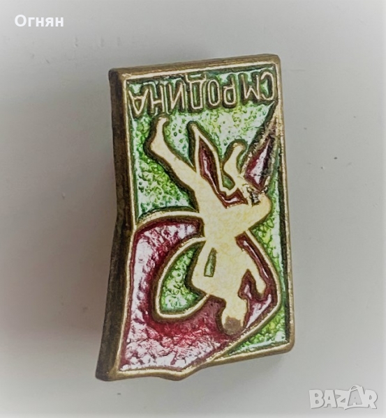 Значка СМ Родина, снимка 1