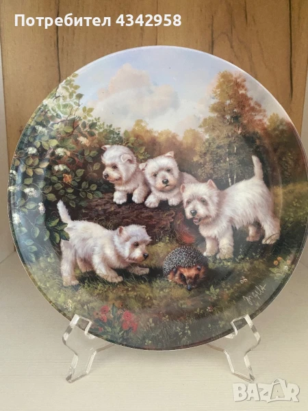 Hutschenreuther.Чиния « Намерено в градина», снимка 1