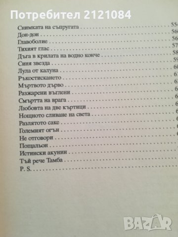 Диамантената колесница / Борис Акунин, снимка 5 - Художествена литература - 41604043