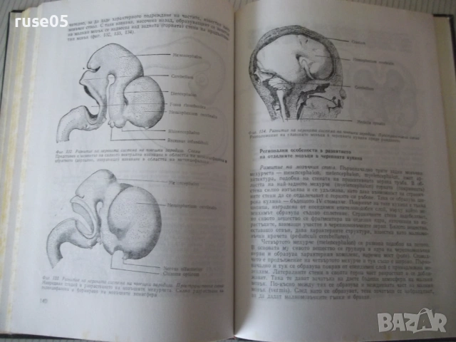Книга "Ембриология на човека - Ив. Георгиев" - 164 стр., снимка 7 - Специализирана литература - 53222066
