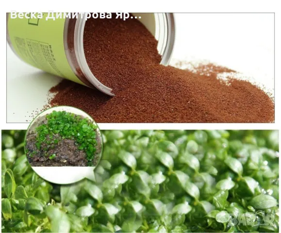 Регенерираща и подхранваща маска за лице с морски водорасли - HZS238, снимка 4 - Козметика за лице - 47698521