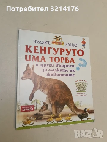 Хайде да разгледаме света на динозаврите!, снимка 3 - Детски книжки - 51060909
