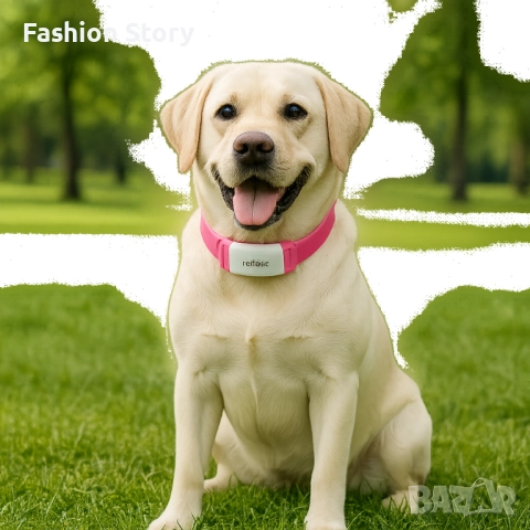 Тракер за домашен любимец - GPS локатор