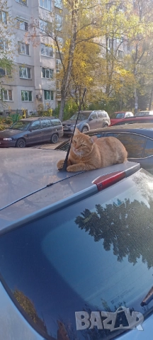 Работим и на Официалните празници 