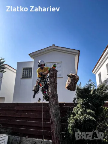 Рязане,оформяне,укрепване на опасни дървета , снимка 15 - Други услуги - 39864280