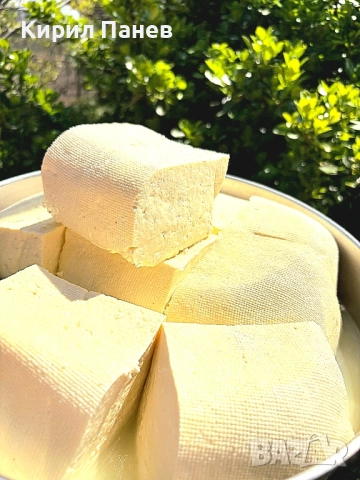 БИО домашно сирене 