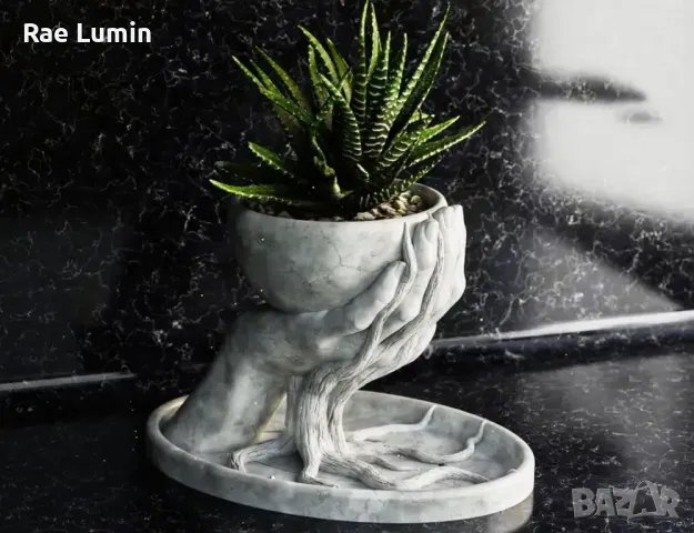 Саксия – вплетени корени, снимка 1