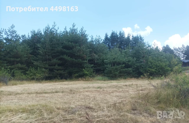 Парцел град Батак  местност Друма , снимка 3 - Земеделска земя - 51239759