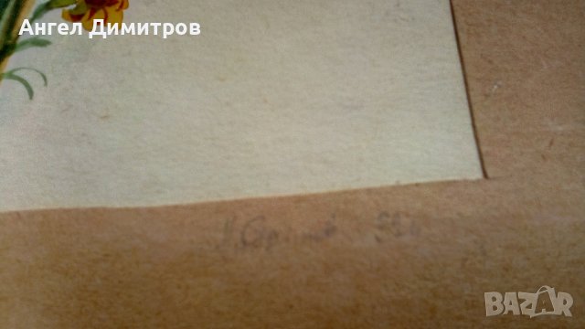 Акварел картина подписана , снимка 6 - Картини - 41825792
