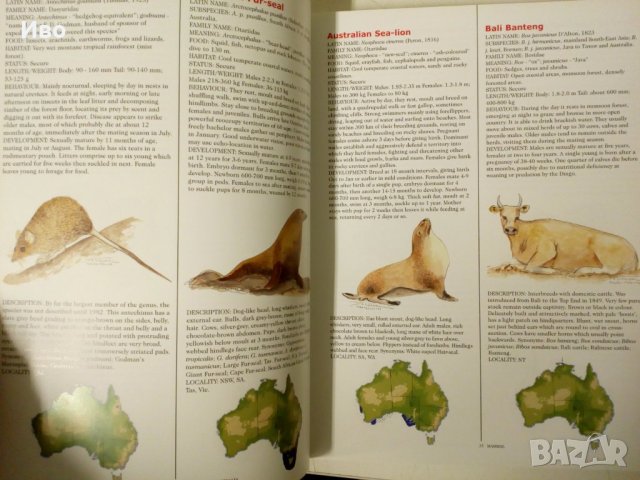Super Nature-250стр+mammals.2бр книги, снимка 7 - Детски книжки - 39748171