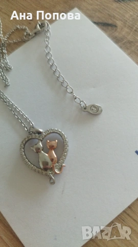 Сребърно колие на Swan