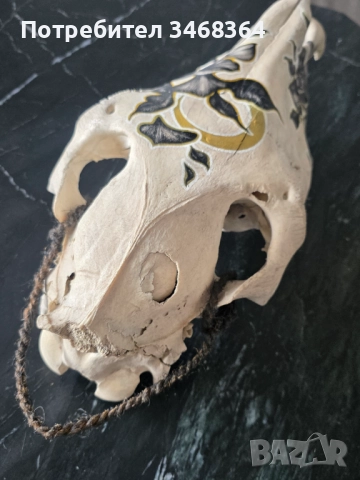 Конски череп за декорация - ръчно рисуван, снимка 5 - Декорация за дома - 51777796