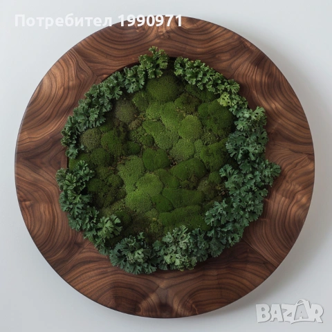 Стенен декор - пано. Ествествена дървесина с исландски мъх. Изработка по поръчка., снимка 6 - Декорация за дома - 53726848
