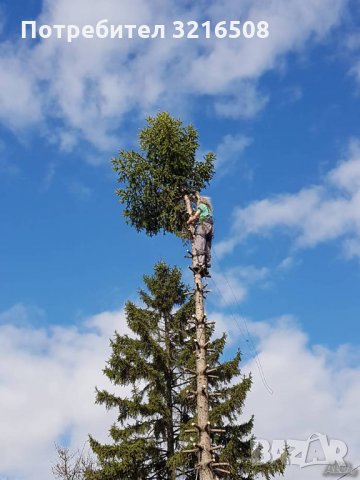 Косене на трева, почистване  на дворове парцели ,Рязане на дървета кастрене , снимка 4 - Други услуги - 34698765