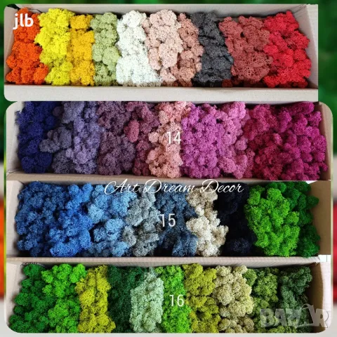 Скандинавски мъх за живи стени, пана и декорации, Премиум почистен Скандинавски мъх, снимка 10 - Декорация за дома - 36784939