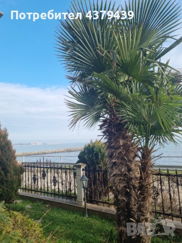 Продавам луксозен двустаен апартамент на първа линия в най-хубавата жилищна сграда в Равда., снимка 2 - Апартаменти - 53678139