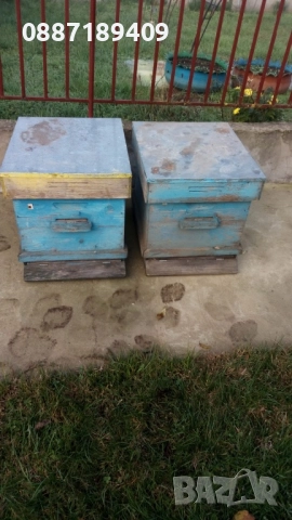 кошери, снимка 3 - За пчели - 49511879