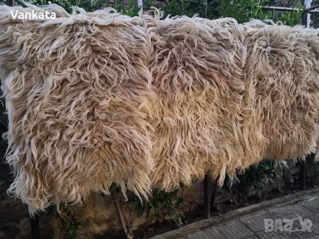 Родопски, кичени халища