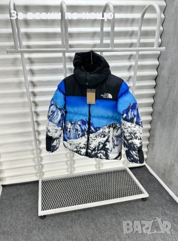 The North Face Мъжко Зимно Яке Дъ Норт Фейс - 2 Цвята Код A. Style-8, снимка 2 - Якета - 52479207